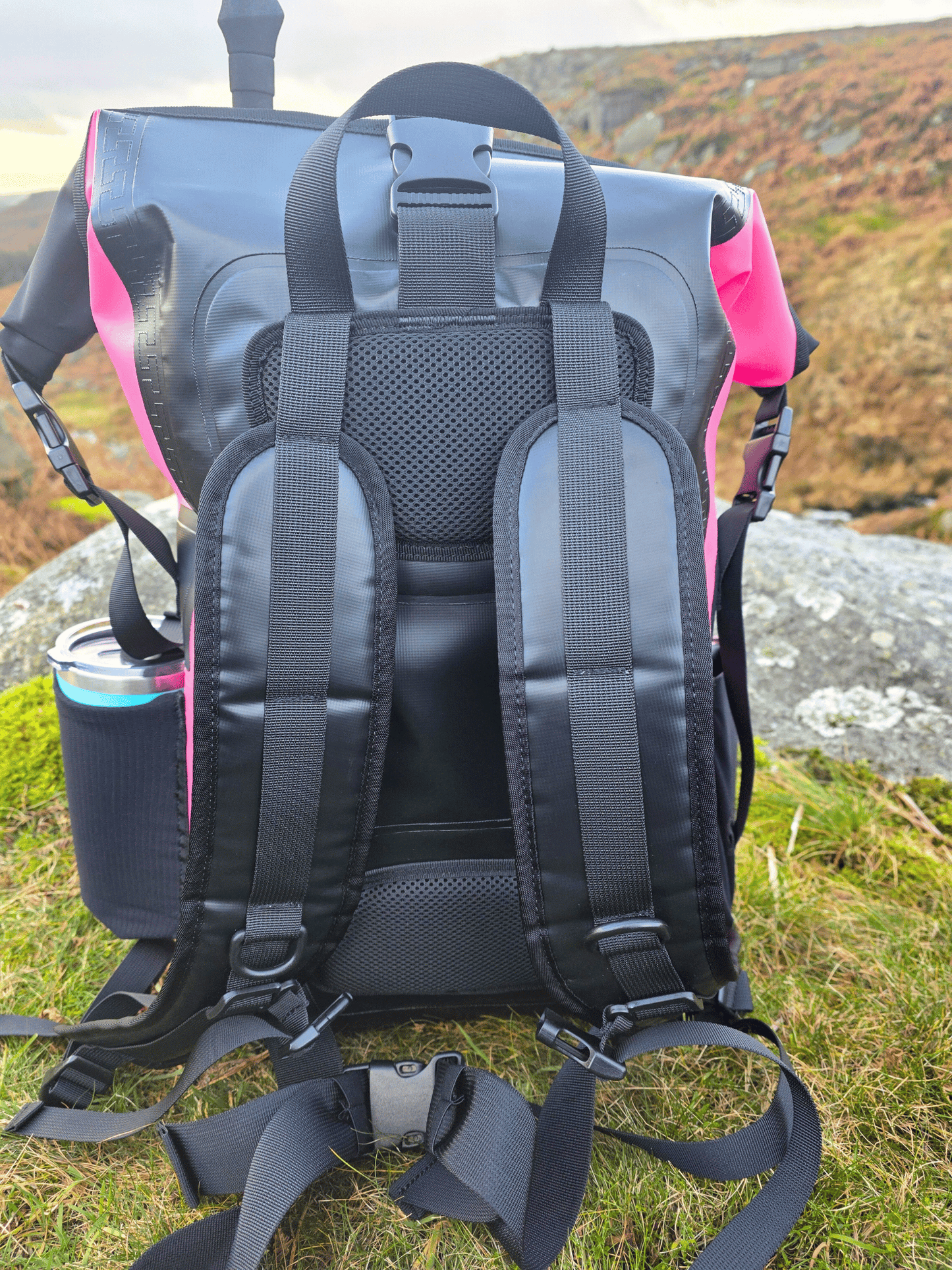 black padded back and straps on the back of a pink backpack